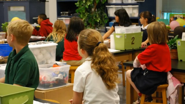 Science - Pollination - Learning About Its Importance For Plants