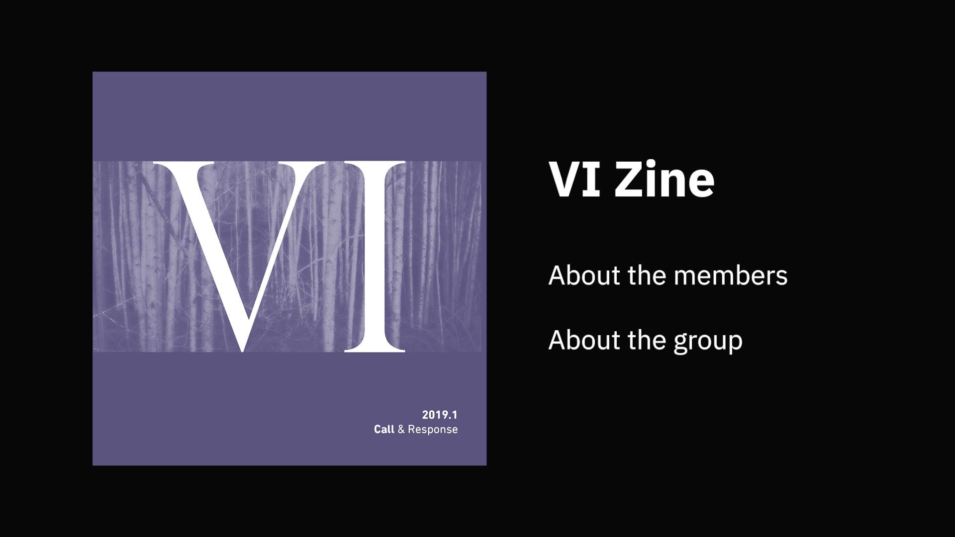 About VI Zine