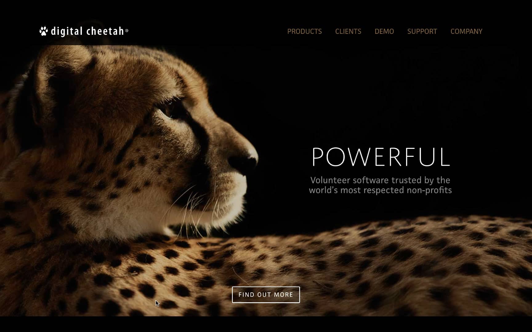 Digital Cheetah VMS Demo on Vimeo