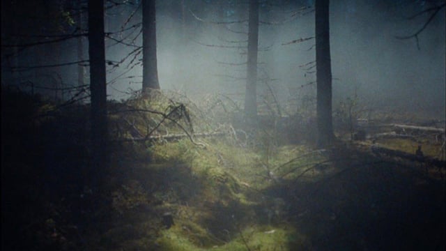 A thumbnail for the film 'Girl in Red' by  andreas johannessen fnf