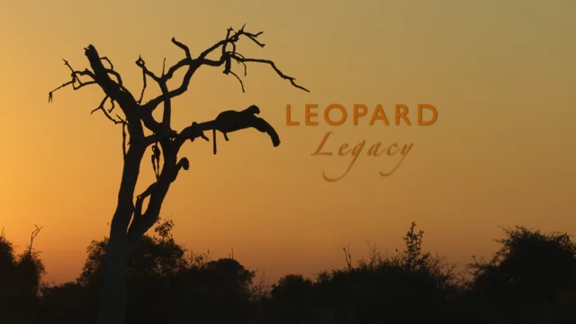 The Leopard Legacy, About, Nature