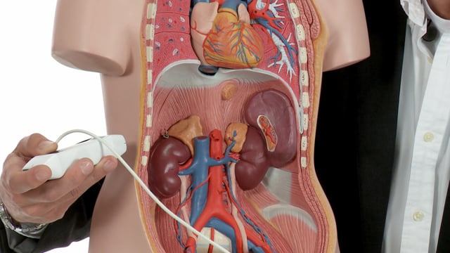 What viewing planes are there for imaging the kidneys?