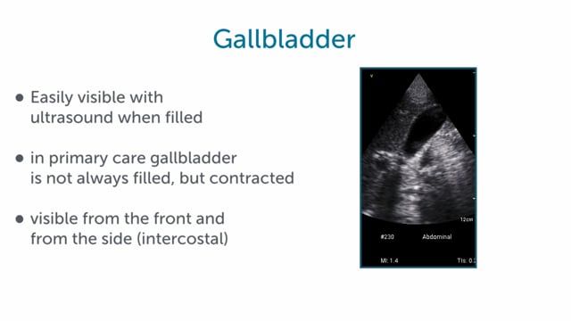 What views are there for the gallbladder and bile ducts?