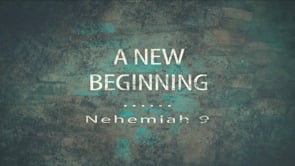 A New Beginning