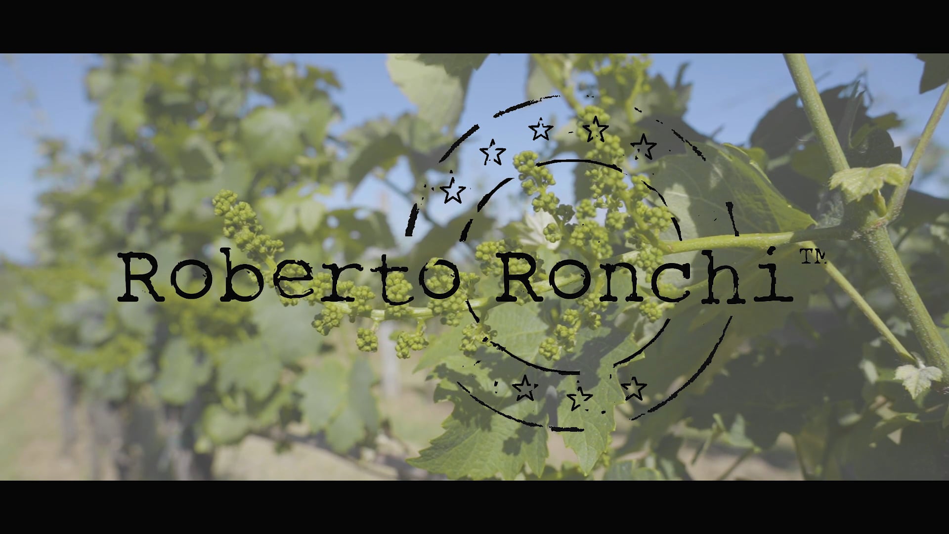 Roberto Ronchi - Brokerage and Consulting