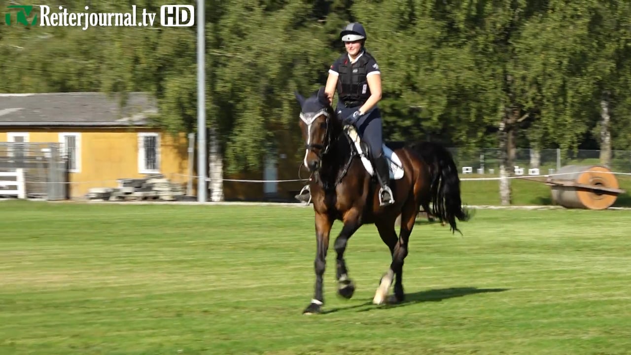 Richtig Reiten mit Jarno Debusschere - Keine Bange vor Baumstämmen