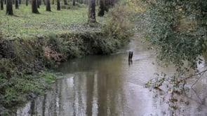 Barthes de l’Adour, a living environment