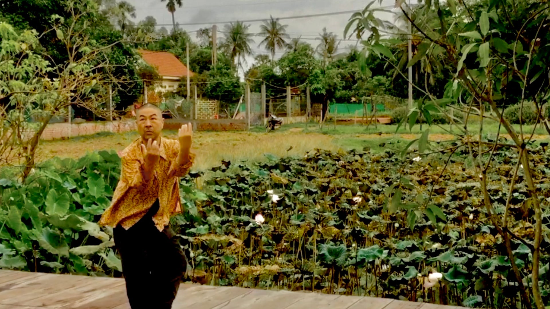 Speaking Lotus Pond