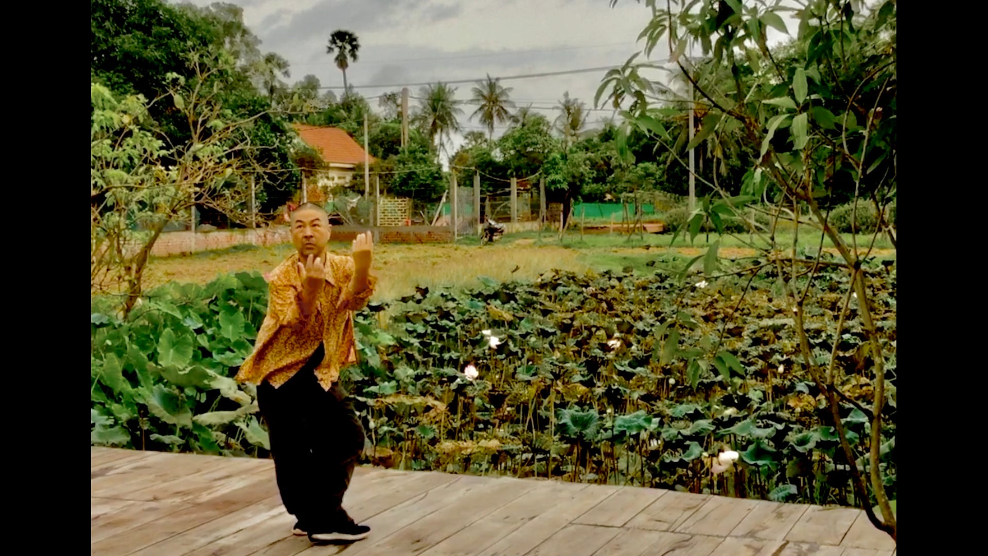 Speaking Lotus Pond