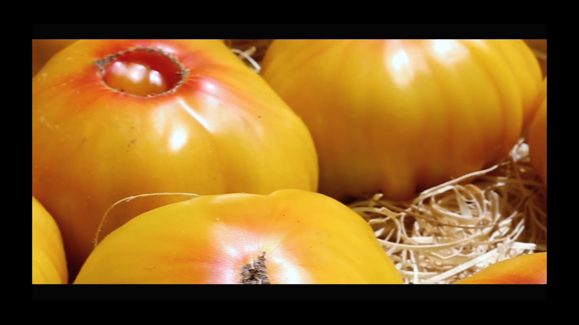 GG kitchen case on Vimeo