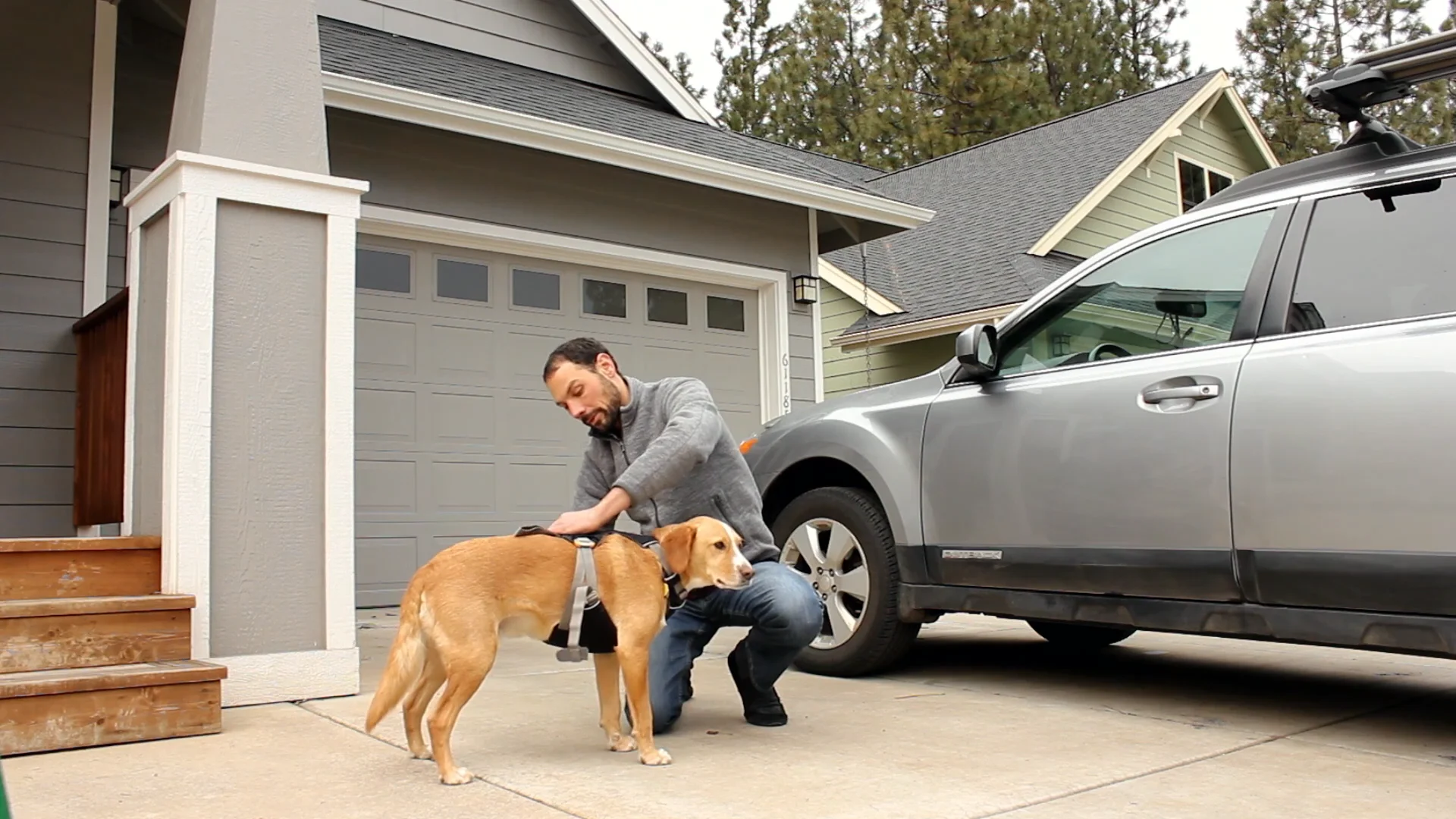 Ruffwear Load Up Harness A Quick Start Video