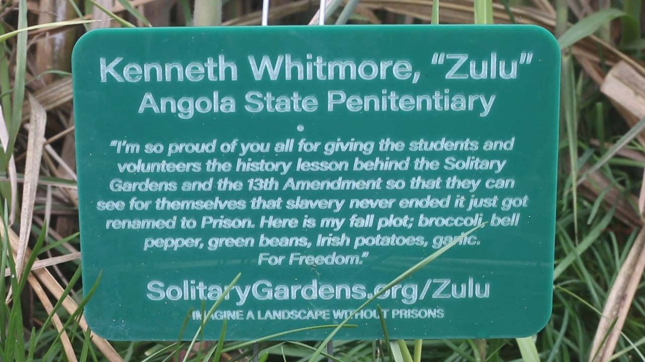 Antenna.Works New Orleans art and literature