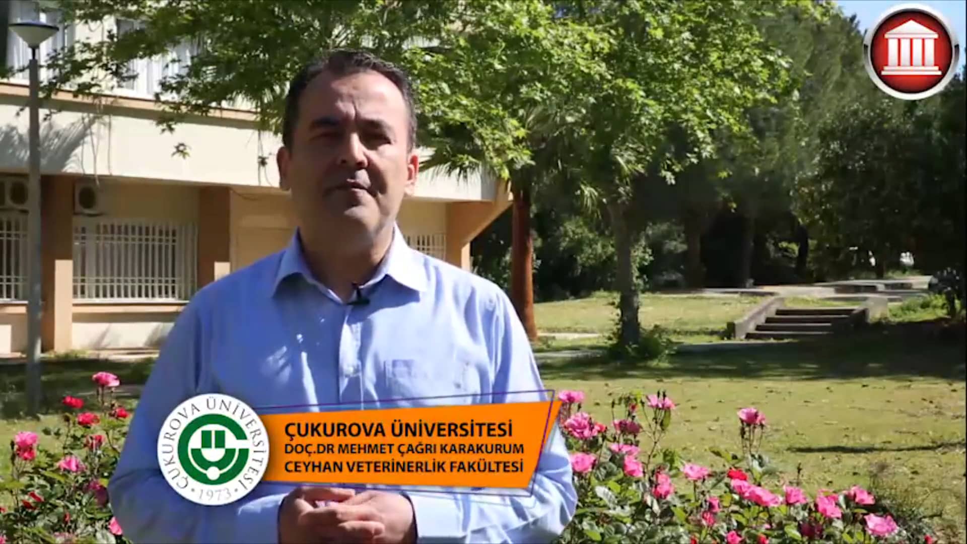 cukurova universitesi ceyhan veterinerlik fakultesi universite tercihleri