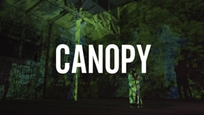 Canopy by Stefan Calka