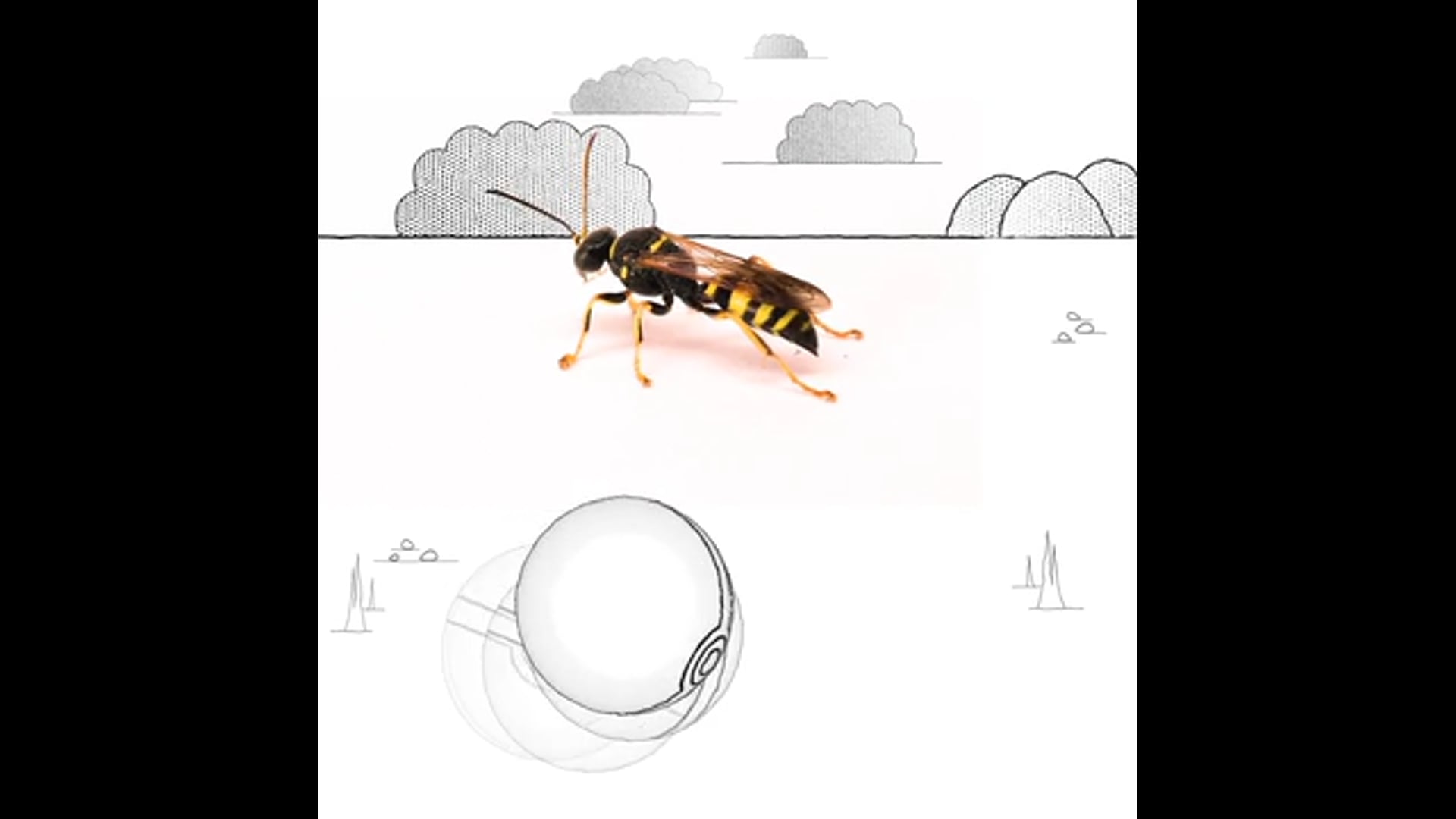Insectimons - EP1. Sand Wasp