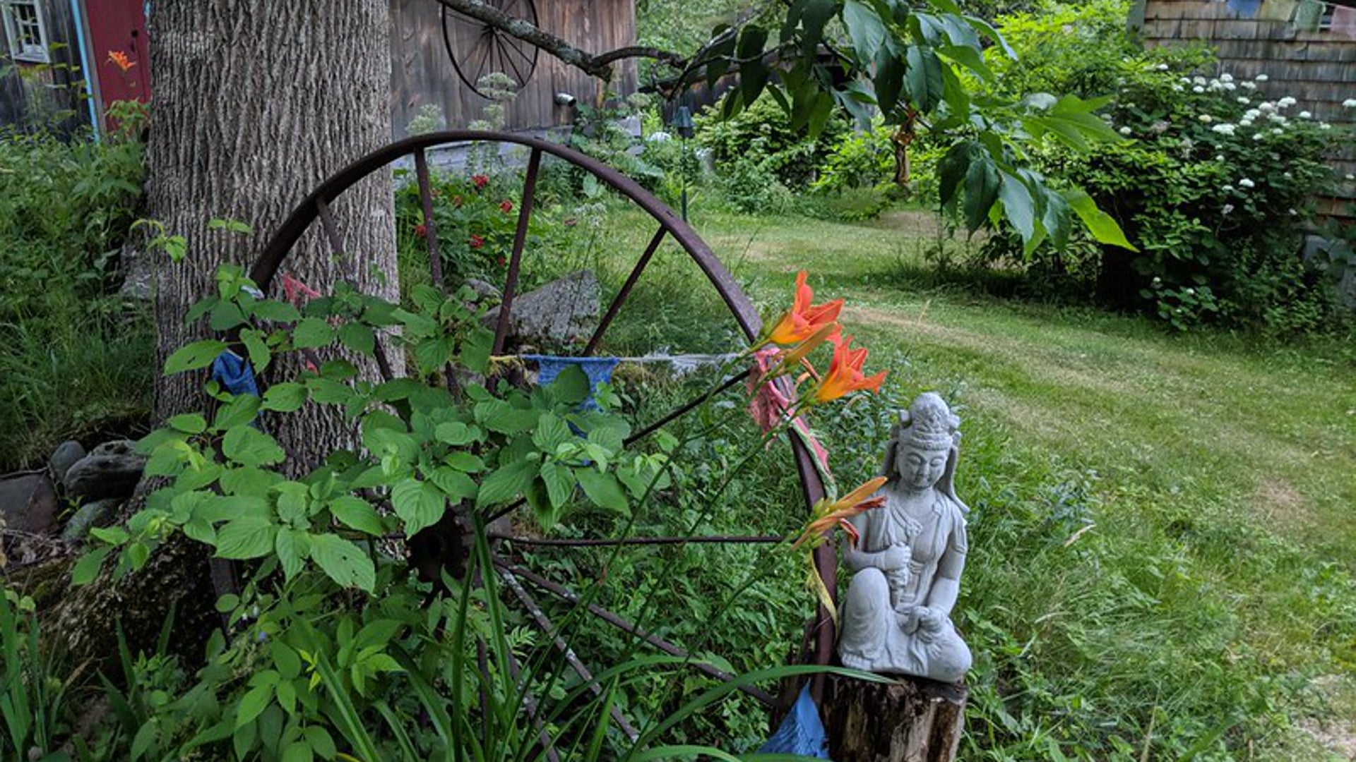 2020 April 16:  Interest is the Mother of the Settled Mind