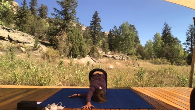 Visvamitrasana Prep