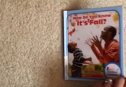 Fall on Vimeo