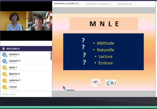 Qu'est-ce que la MNLE - E. Pelloquin - intro webinaire 4 juin 2020