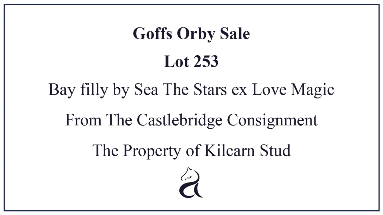 Lot 253 Goffs Orby Sale on Vimeo