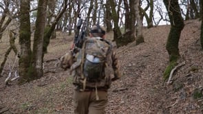 The Harvesters: hunter-gatherers