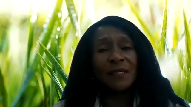 VIDEO: Insurers and the media must work together to drive insurance penetration into new segments