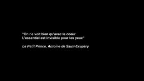 Diamant Brut