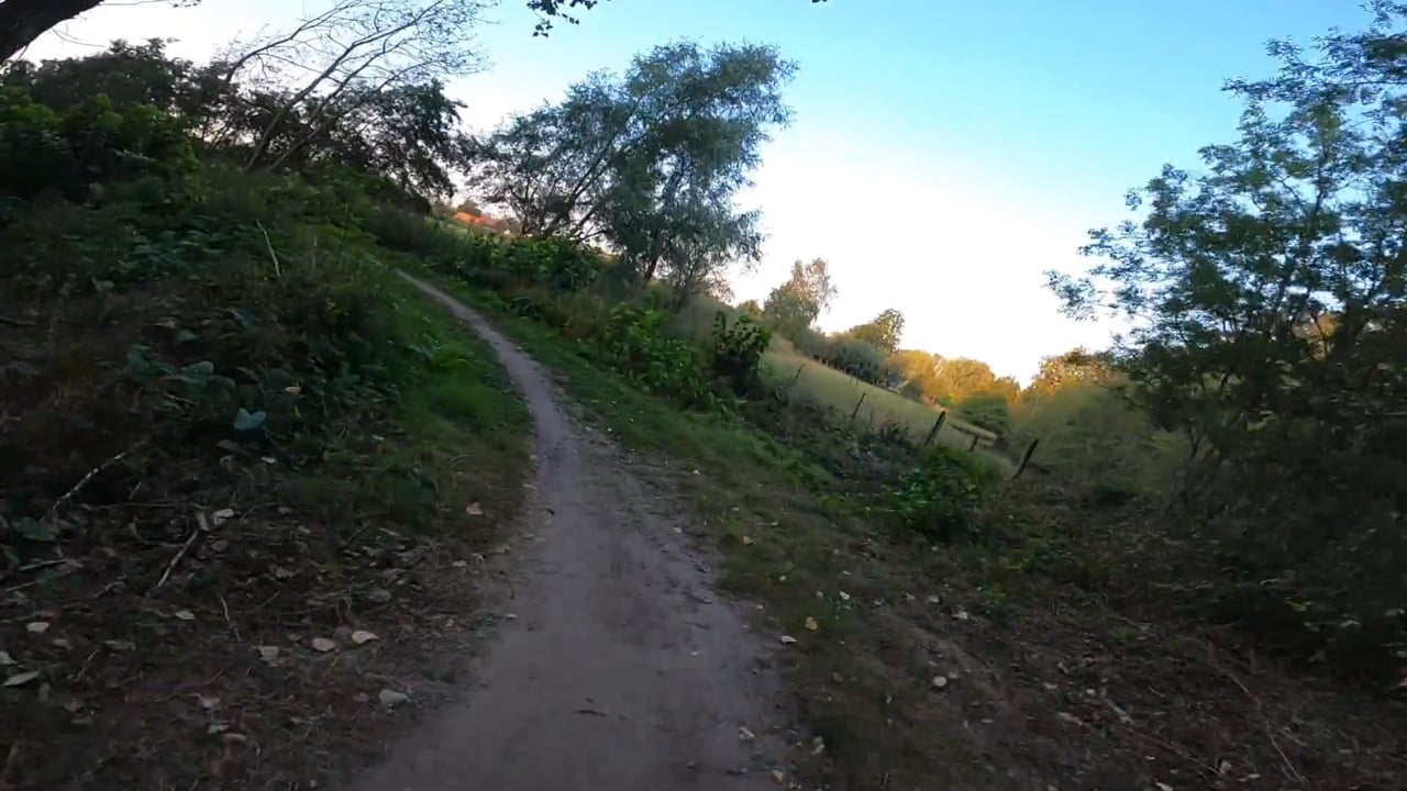 Move2Bike 2020