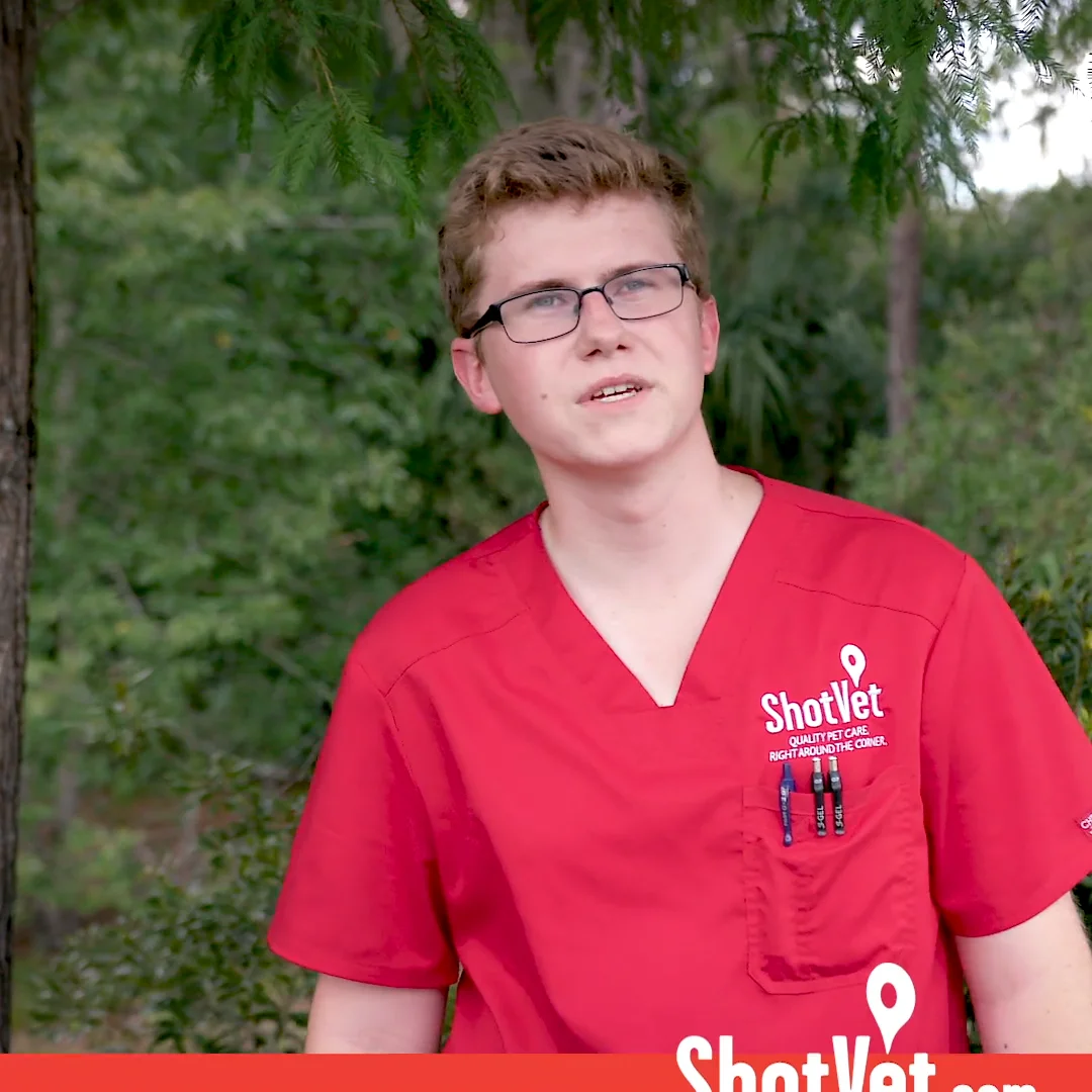 ShotVet Recruitment on Vimeo