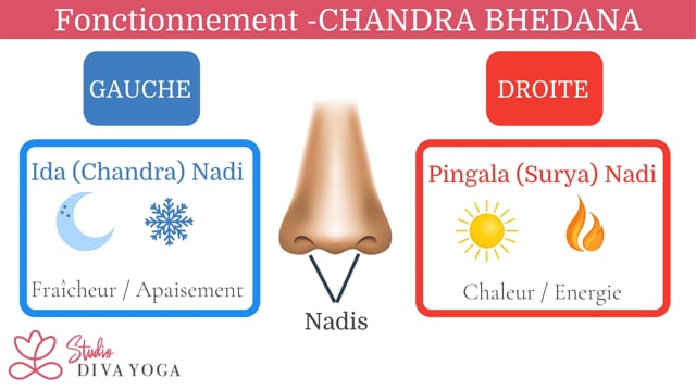 Pranayama - Chandra Bhedana ou la respiration à la lune