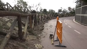 L'ajuntament refà les fustes del passeig d'Empúries