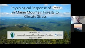 Dr. Jay Wason III: Physiological Response of Trees in Maine Mountain Forests to Climate Stress