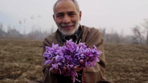 Harvesting the World's Most Expensive Spice