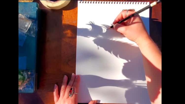 Shadow Play