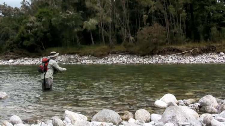 Fly fishing videos from New Zealand