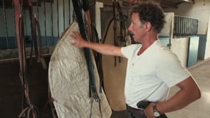 LES METIERS DU CHEVAL