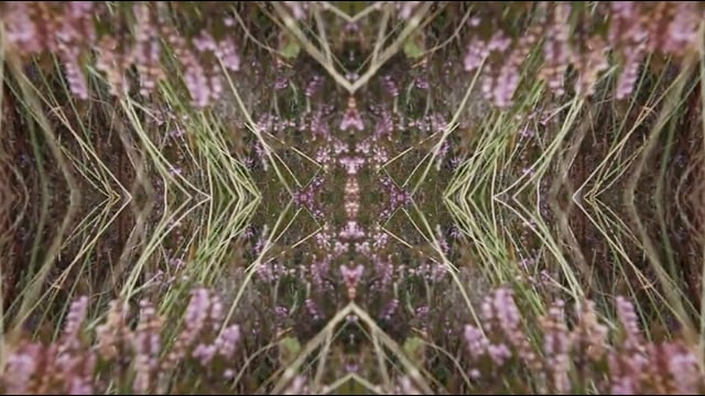 Vimeo Thumbnail (API)