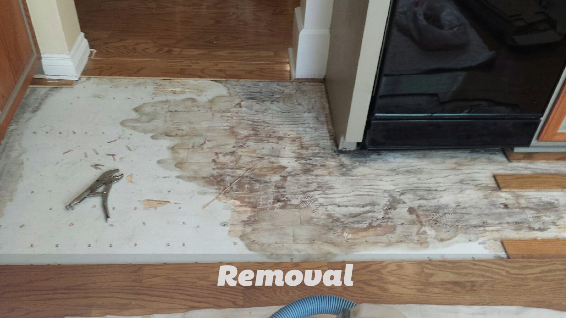 Engineered Hardwood Repair on Vimeo