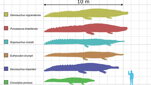 Full article: A systematic review of the giant alligatoroid Deinosuchus  from the Campanian of North America and its implications for the  relationships at the root of Crocodylia