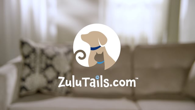 ZuluTails_Studio_Final