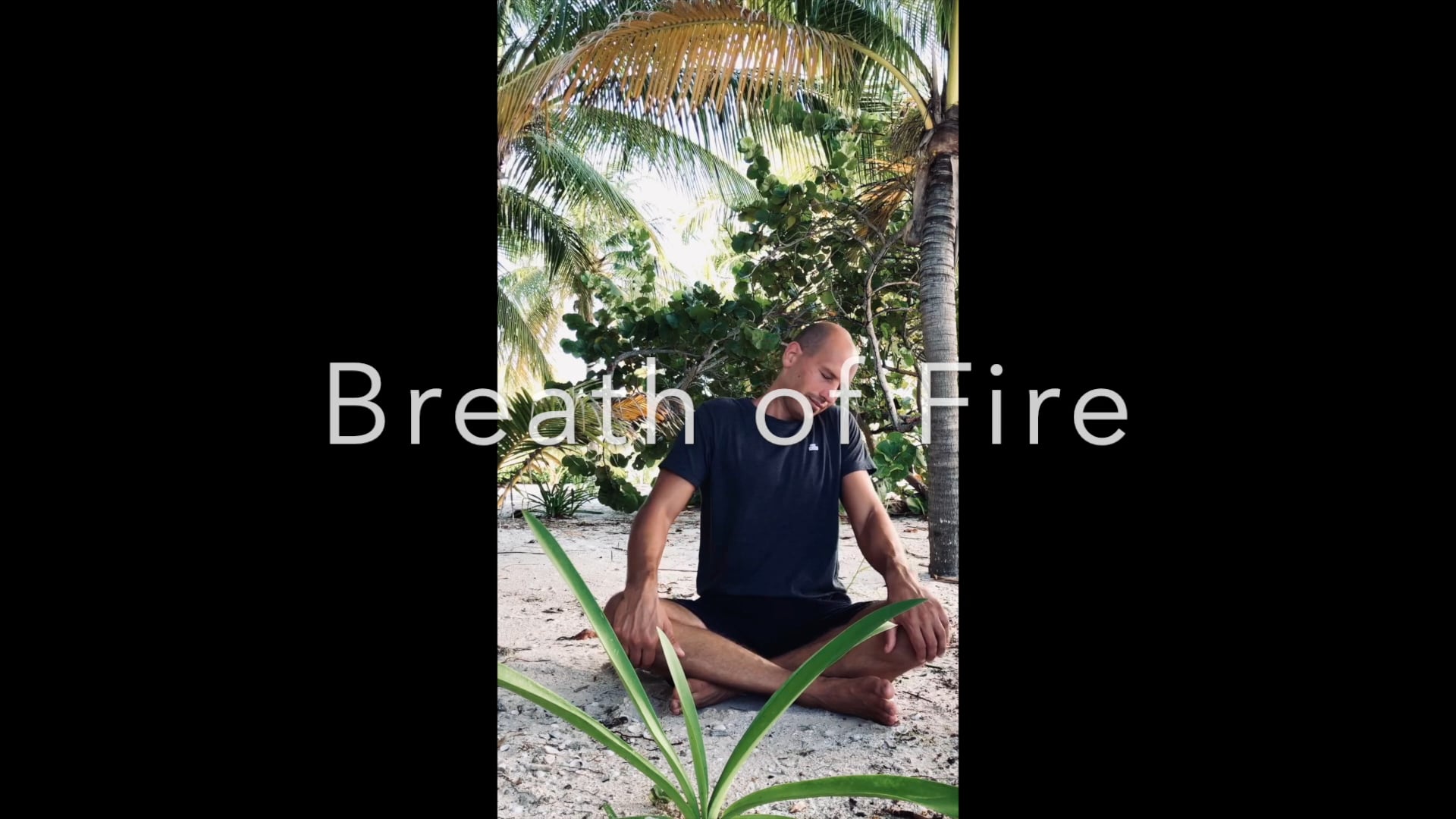 R2R Breath of Fire