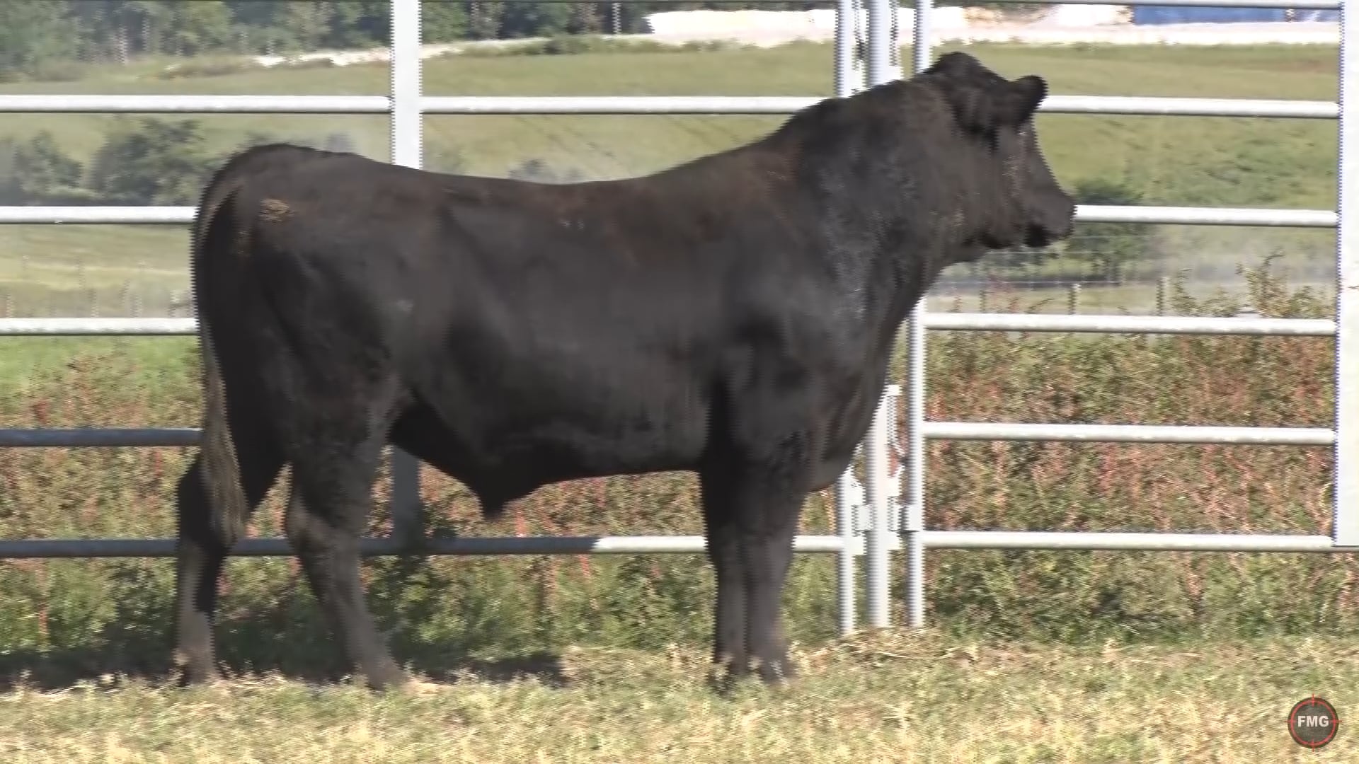 ZWT Ranch Tag 8337.mp4 on Vimeo