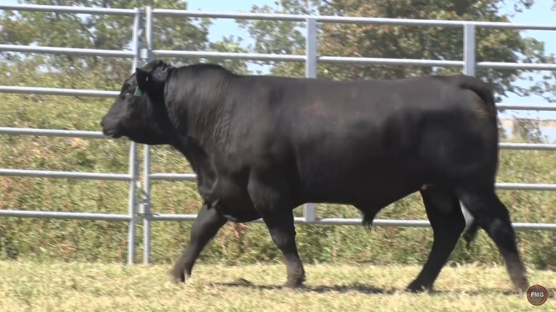 ZWT Ranch Tag 9019.mp4 on Vimeo