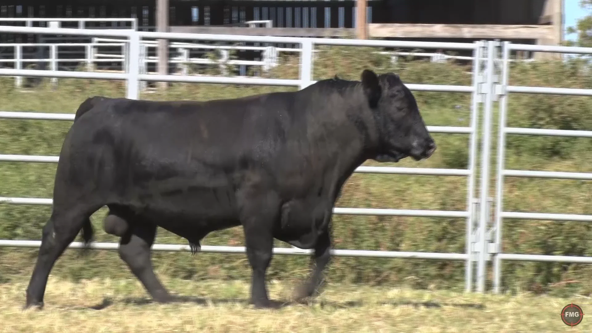 ZWT Ranch Tag 9032.mp4 on Vimeo