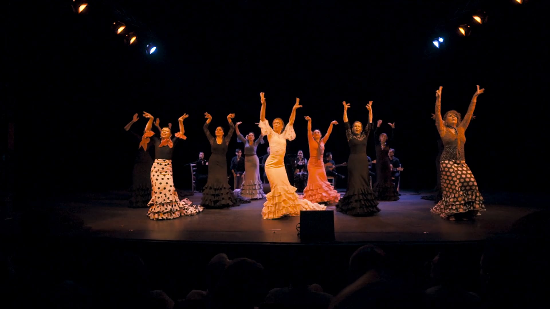 Watch Noche Flamenca 2019 - Flamencoschule María García Online | Vimeo ...