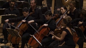 Maurice Ravel : 5 Works by David Grimal & les Dissonances