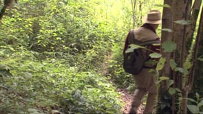 The Doubs, a Fisherman’s Dream