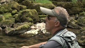 Pêche en eaux jurassiennes