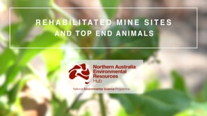 Rehabilitated mine sites and Top End animals (impact video)