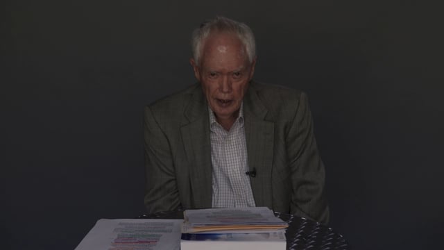 video image